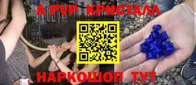 эйфоретик Краснодар