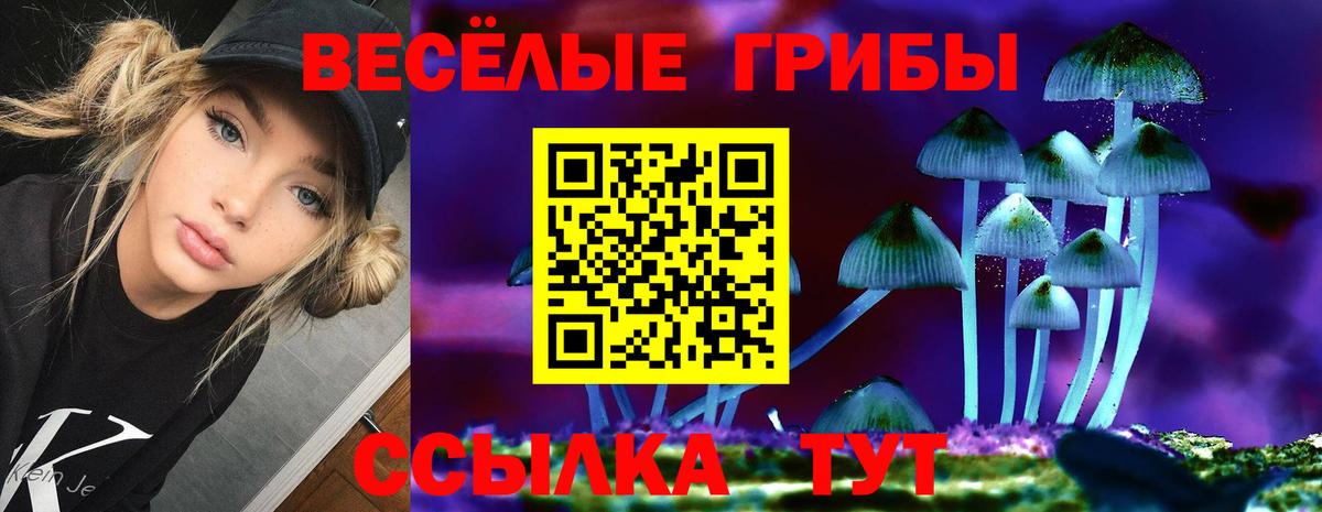 Псилоцибиновые грибы ЛСД  Галлюциногенные грибы прущие грибы  Вход с VPN  Ефремов 